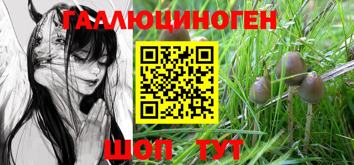 Петровск  Псилоцибиновые грибы Magic Shrooms  где купить наркоту  Вход с VPN  Галлюциногенные грибы мицелий 
